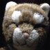 羊大 (@1031885328) Twitter profile photo