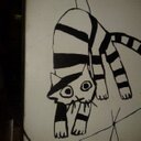 Dawn Alger - @Songthrush57 - Twitter