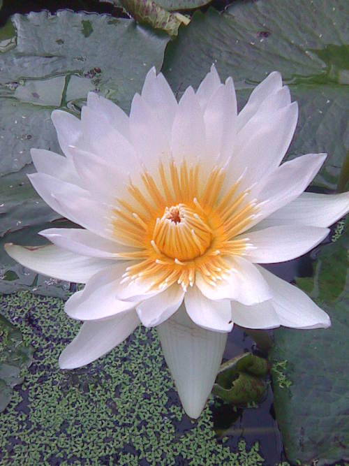 snaildown's profile picture. Into long walks with rescue pup (Nellie), sewing, knitting, cycling