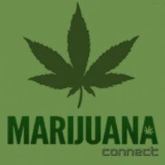 Marijuana connect is the go-to resource for valuable information on all things cannabis.
