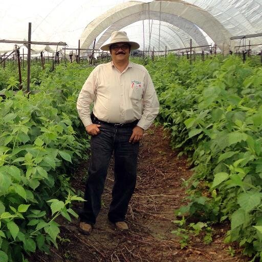 jaimito1959's profile picture. Asesor internacional en hidroponia y Manejo Integrado de Plagas Urbanas y Agricolas.