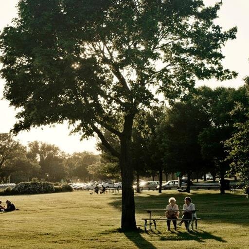 storytellercomm's profile picture. Connection through stories