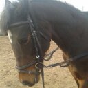 beverley phillips - @bevphillips2305 - Twitter