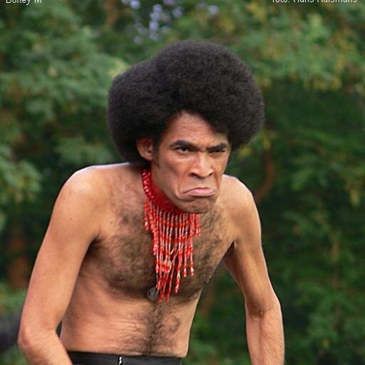 serpicoarg Profile Picture