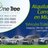 onetreerentacar's profile image