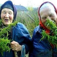 Pieter de jong (@pieterslootdorp) 's Twitter Profile Photo