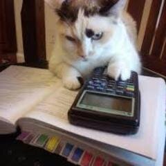Belajar akuntansi sambil twitteran... Miaw... :3