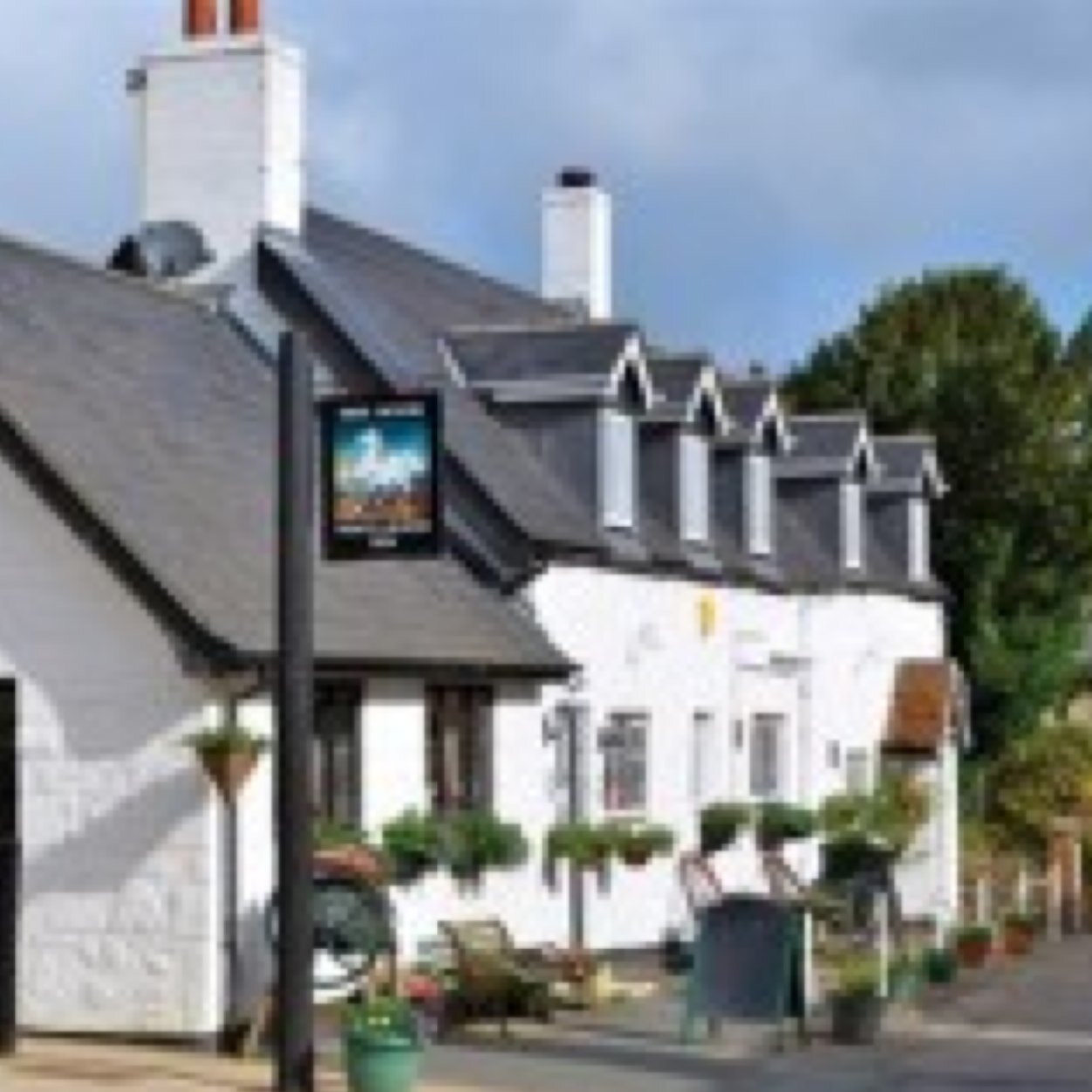 WhiteHorseIOW's profile picture. 