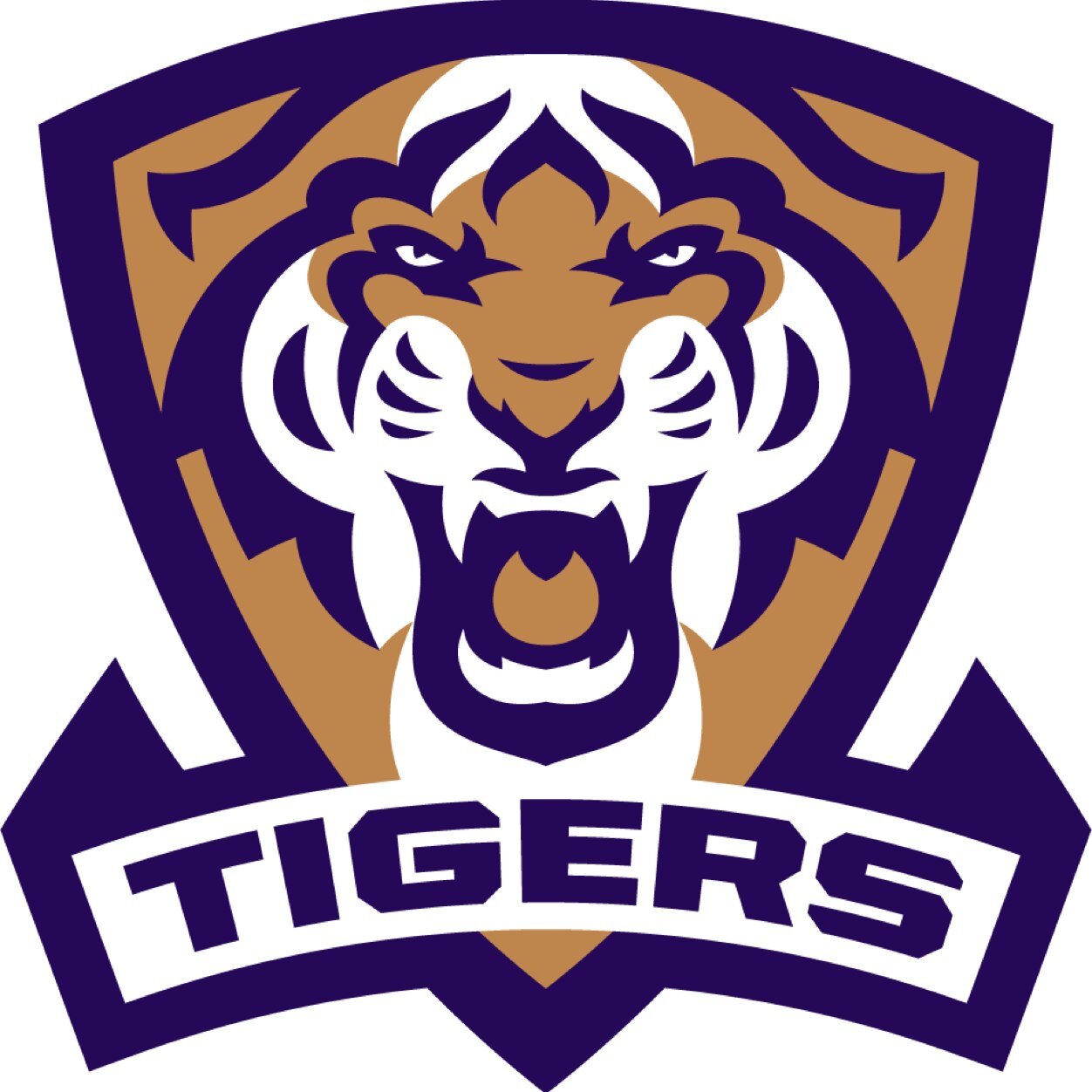 Official twitter handle for the team that will be representing Olivet Nazarene University in THE BASKETBALL TOURNAMENT.