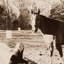 Meghan Bailey - @MeghanMeniba - Twitter