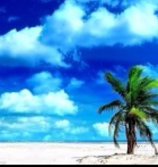 RushMarketingUS's profile picture. Make Money $$$$$$$