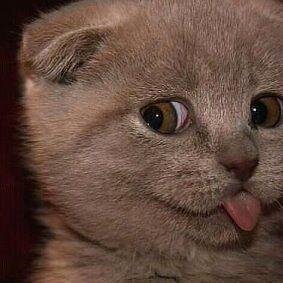 alex2nik1's profile picture. 