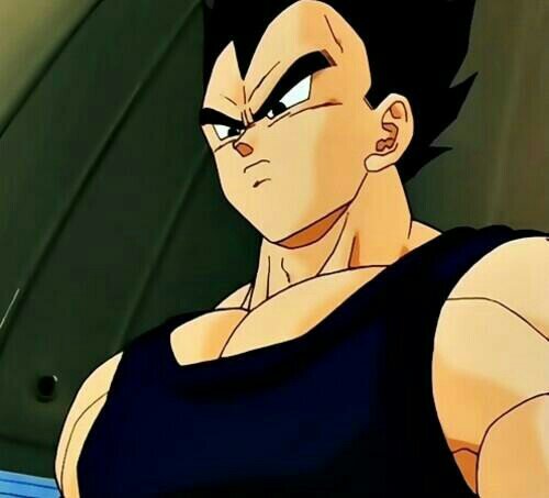 Prince, Ascended Saiyan. Favorite clothing: Combat Suit. Best Friend @MIZUKIHb #Bro @sasukecollinsx #DBZ #RP #IFollowBack