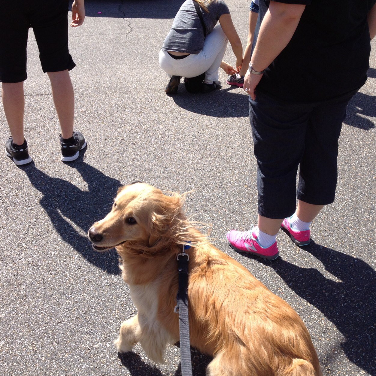 ErinCahill88's profile picture. 