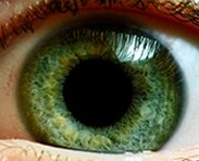 Developed like a Journal club, providing free CME in an online newsletter and featured podcasts on the latest in Ophthalmology.