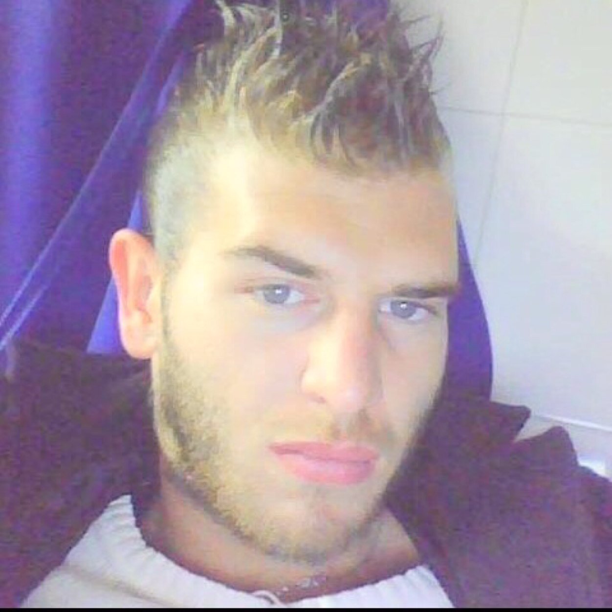 DavidboDavid's profile picture. 