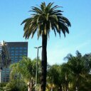 Lori Wingate - @lkhw14 - Twitter