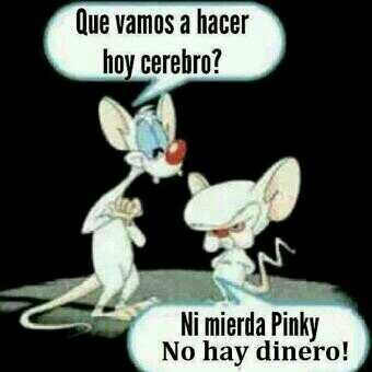 tb5k551's profile picture. My neighbor from down the street