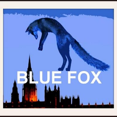Blue Fox (@BlueFoxCAFH) / Twitter