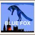 Blue Fox (@BlueFoxCAFH) Twitter profile photo