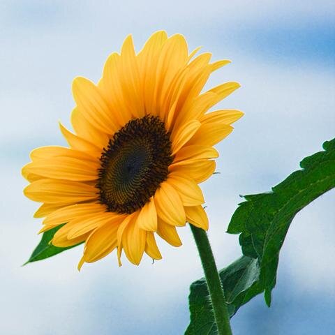 IFYJESSY's profile picture. Feel happy to inspire! Passionate about human development esp Youths.