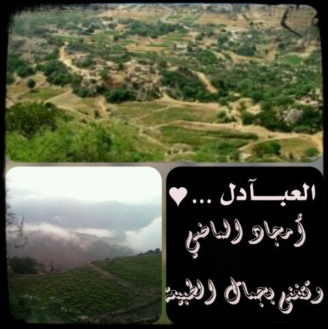 ♥صــور مــن العبـــآدل بجـازآن ..