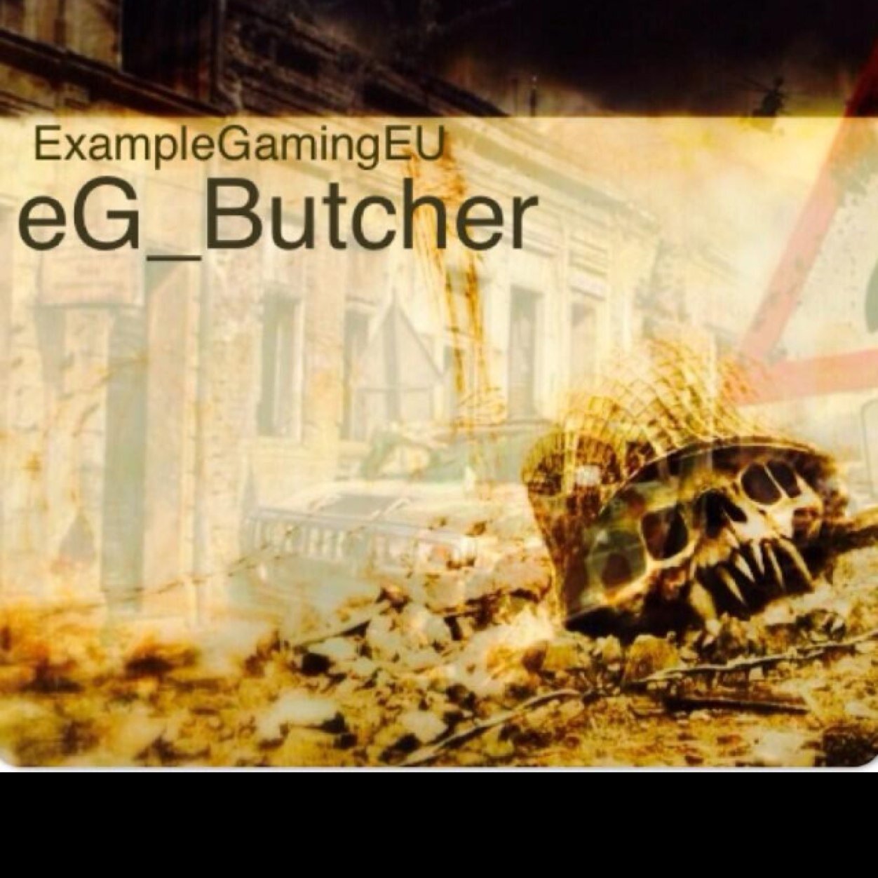 I play COD. Sometimes competeitively, sometimes just for fun. Depends what im feeling. Follow my other, main account @charliebutcher3