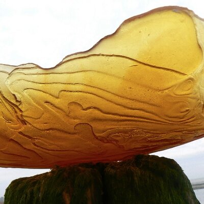 FiBryerGlass's profile image