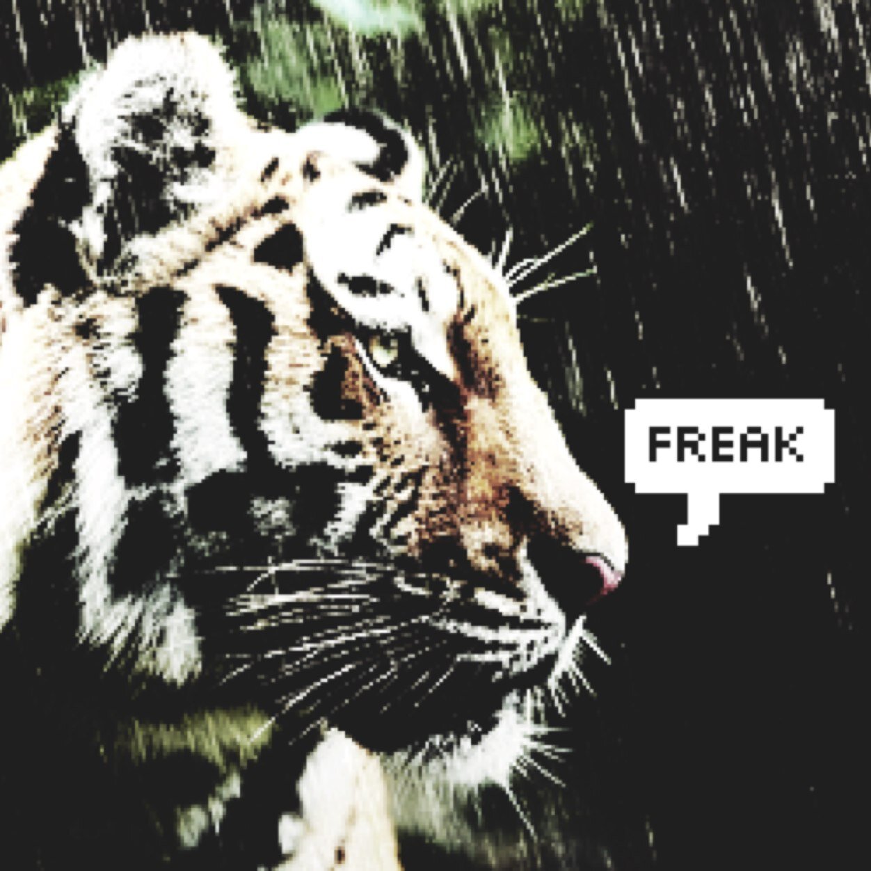 FreakFAM_ Profile Picture