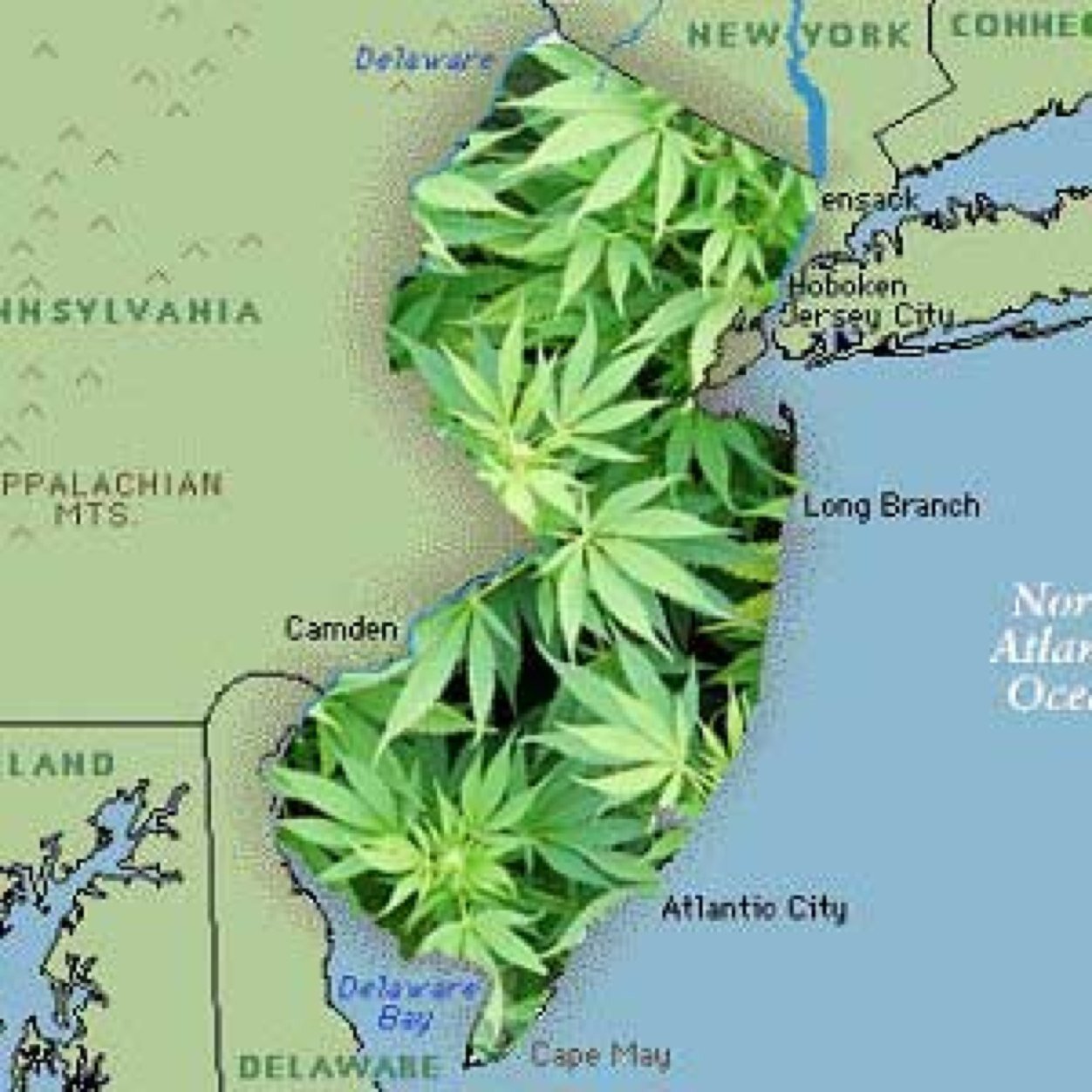 All about the legalization of marijuana with a large focus on policy reform within the state of new jersey.
