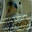 سلطان زيد السهليء ♡ (@06c273b52f86446) Twitter