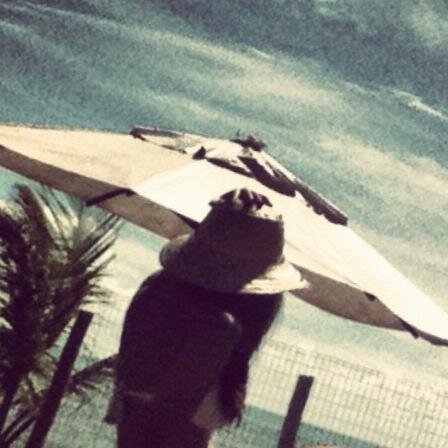 clarinhacaiafa's profile picture. 