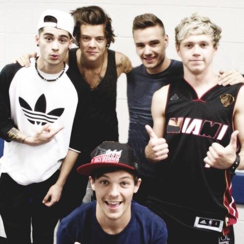 isso é pra dizer o quanto amo cada um de vocês e me importo, n quero rt e muito menos fama, quero apenas tentar ajudar de alguma forma minhas irmãs directioners