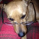 annie - @AnnLocke5 - Twitter