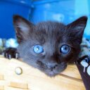 Chris Alderson - @ATXJayhawkChris - Twitter