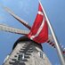 Danish Windmill (@danishwindmill) Twitter profile photo