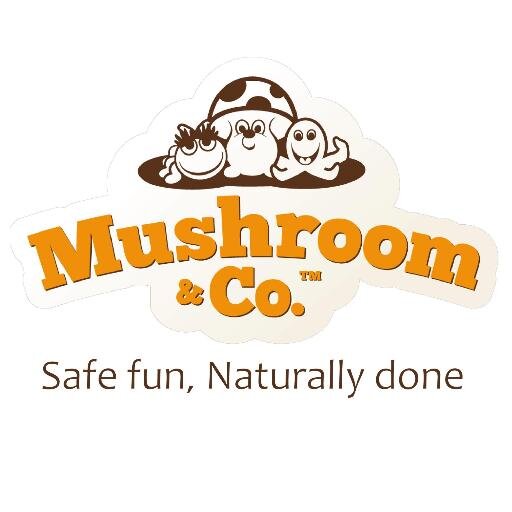 MushroomAndCo's profile picture. Family run business with passion for natural safe non-toxic products from all around the world for babies and toddlers