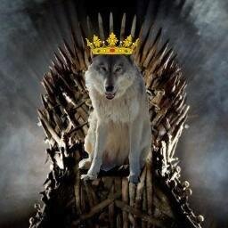 PambaApuestas's profile picture. Tipster de Fútbol, Tenis y Baloncesto.