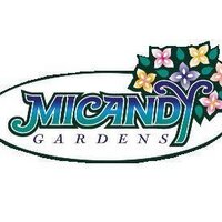 Micandy Gardens (@micandyhd) 's Twitter Profile Photo Micandy Gardens (@micandyhd) 's Twitter Profile Photo