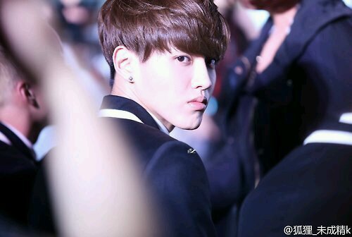 zitao's