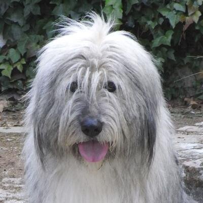 スペインホームステイcasa Kazu Casakazu Twitter スペインホームステイcasa Kazu Casakazu Twitter
