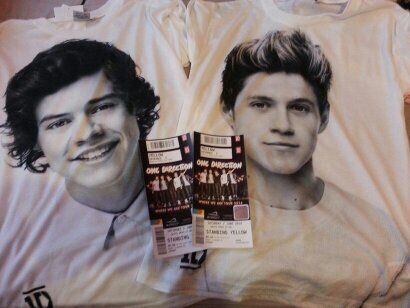 Can't believe I'm meeting my idols (1D) in June in Wembley stadium with Teigan