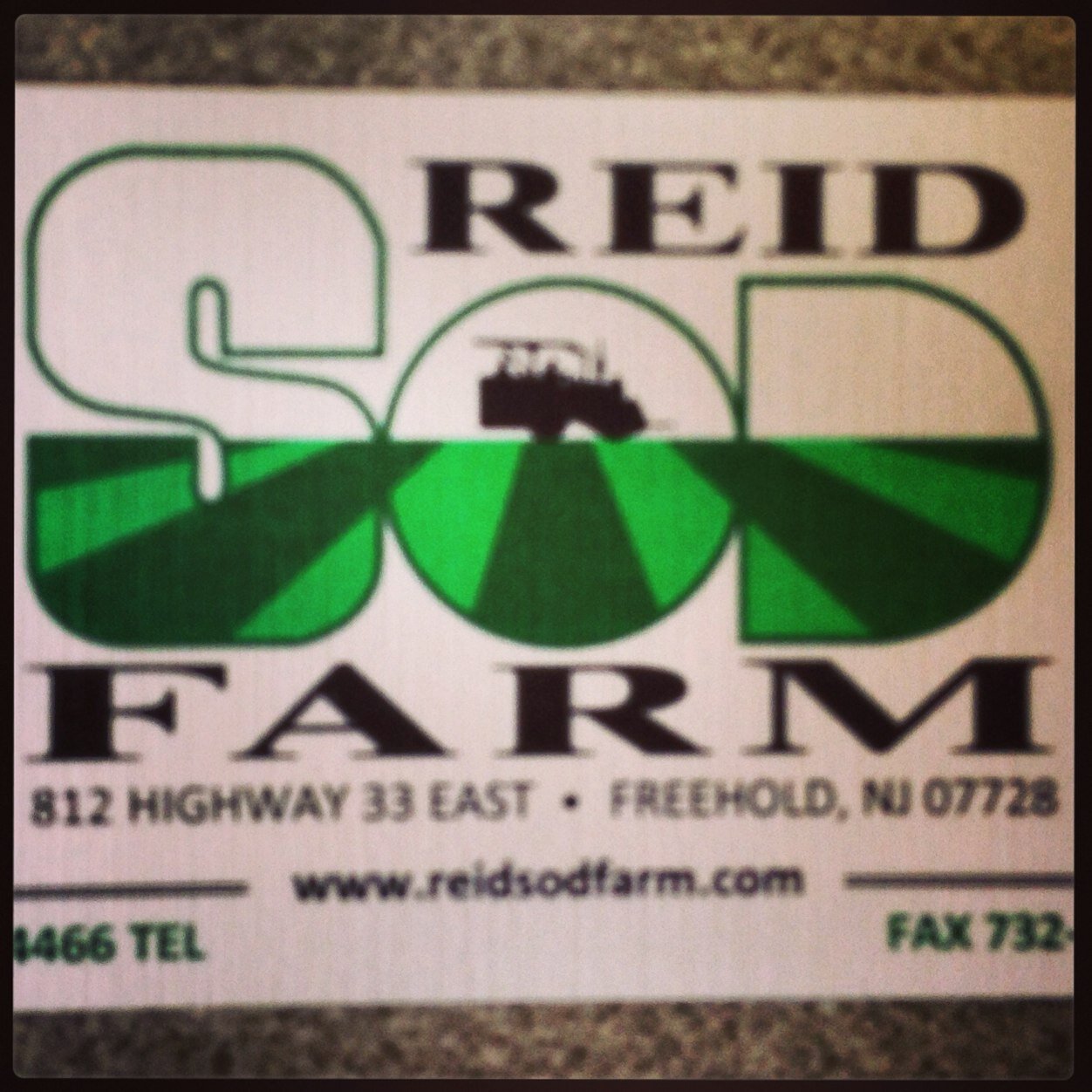 Reid Sod Farm Best bluegrass/fescue mix in the region Freedhold, NJ