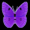 Gail Riddle - @riddlegwzu - Twitter