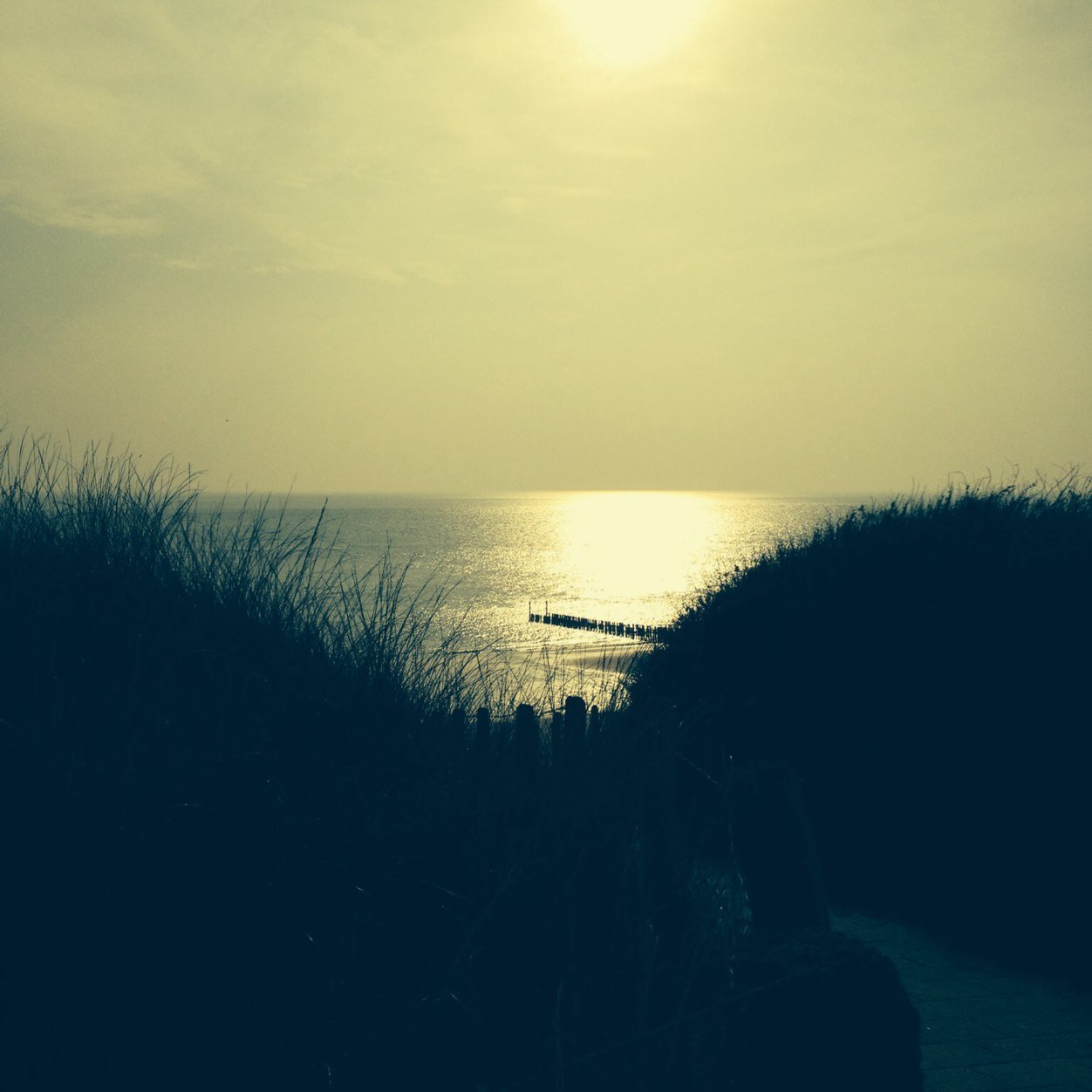 KortingMiran's profile picture. 