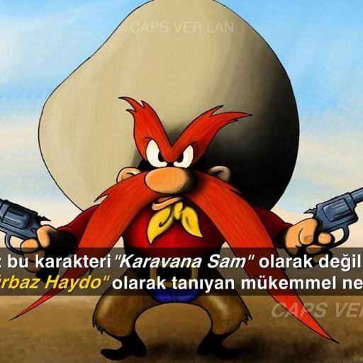 emicemin amınagoyam