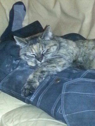 angelique_gma's profile picture. 