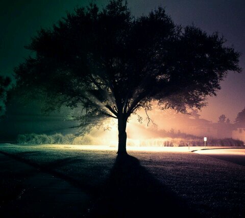 annija125's profile picture. 