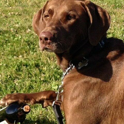 Runningman_krr's profile picture. Founder/Member of Kezar Roadrunners, runner, Best Friend of Asics