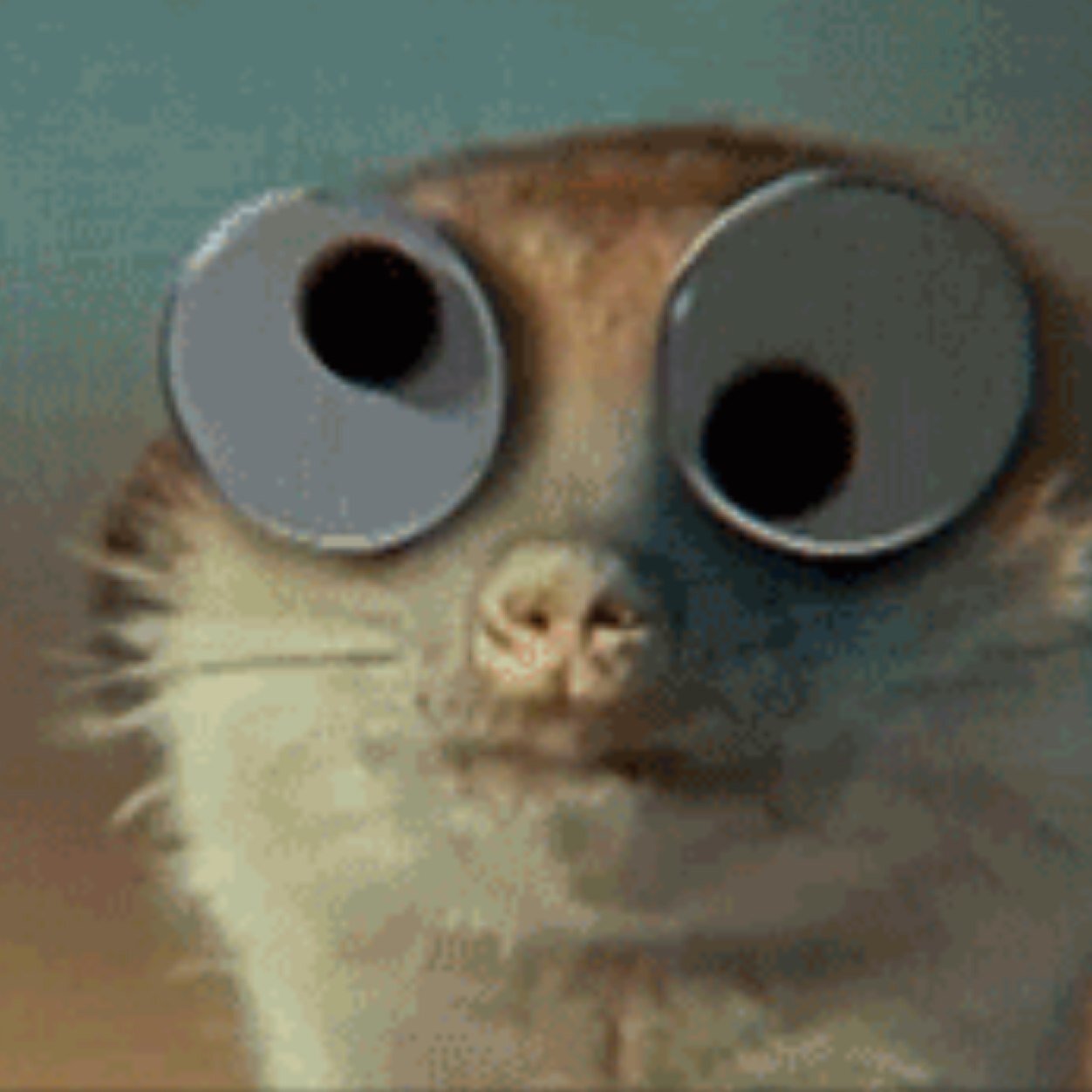 LoLoLoLoLwot's profile picture. uid 709 swag